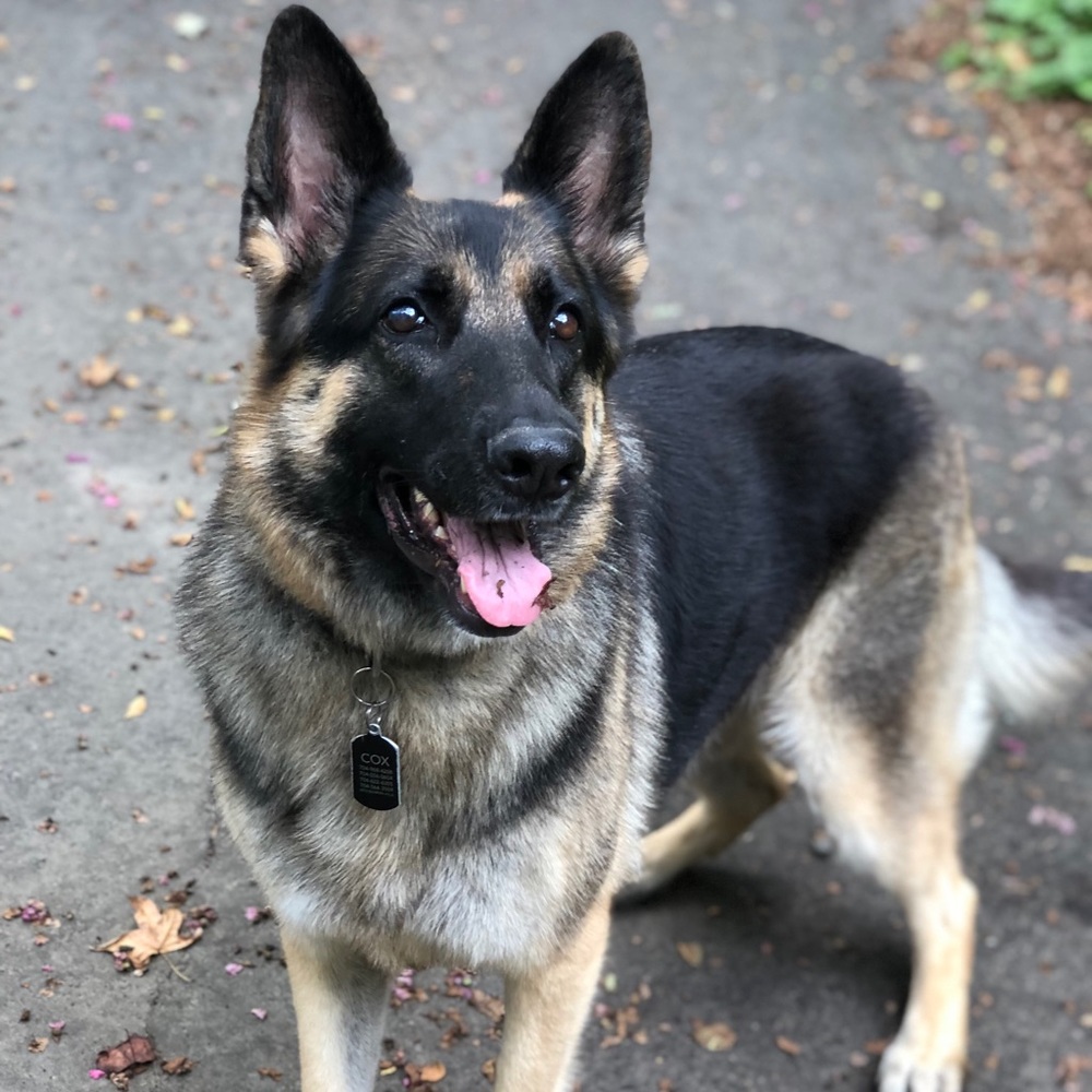 Meet your Posher, Liza